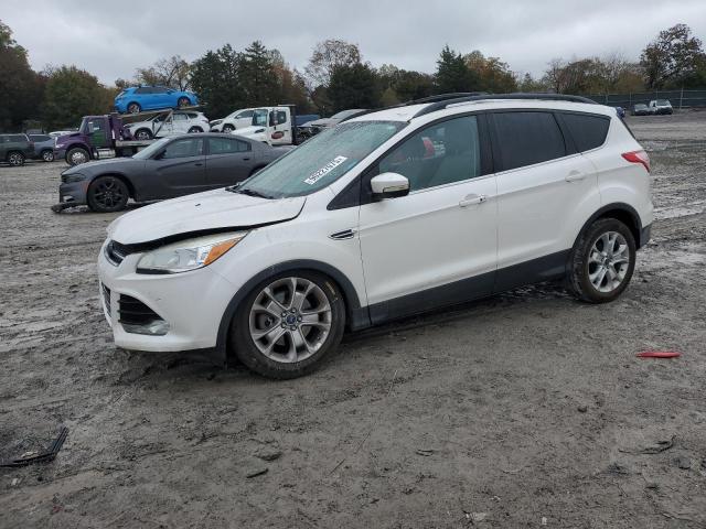 FORD ESCAPE SEL 2013 with VIN 1FMCU0H96DUD76877 - Photo from auction