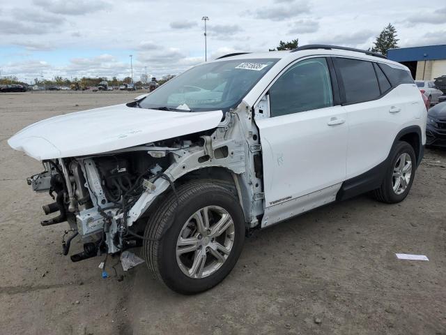 GMC TERRAIN SL 2019 with VIN 3GKALMEV9KL322363 - Photo from auction