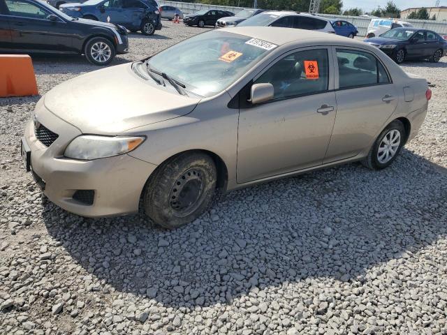 TOYOTA COROLLA BASE 2010 with VIN 2T1BU4EE3AC486996 - Photo from auction