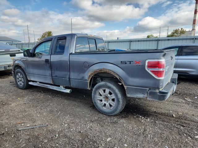 Photo 2 from auction – 2010 FORD F150 SUPER with VIN 1FTEX1EW6AFC48434