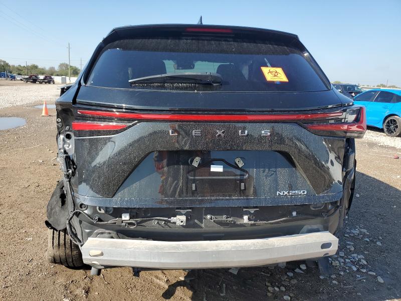 Photo 6 from auction – 2024 LEXUS NX 250 BAS with VIN 2T2ADCAZ6RC012921