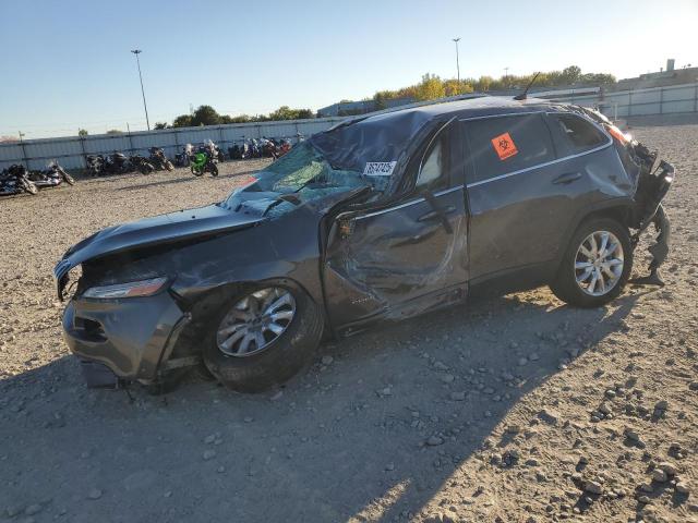 JEEP CHEROKEE L 2017 with VIN 1C4PJMDS2HW521633 - Photo from auction