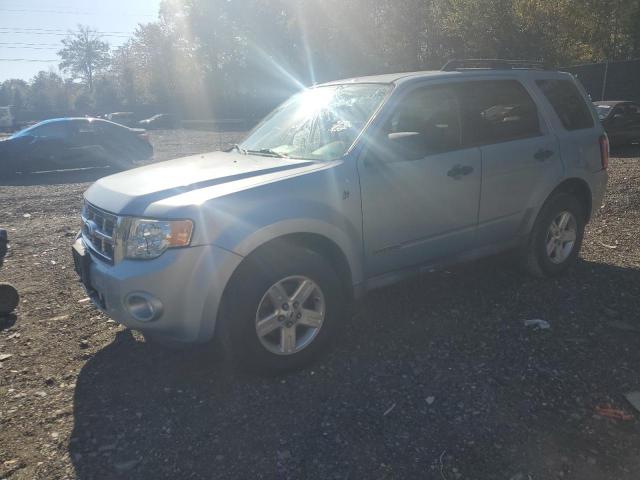 FORD ESCAPE HEV 2008 with VIN 1FMCU49H98KE03021 - Photo from auction