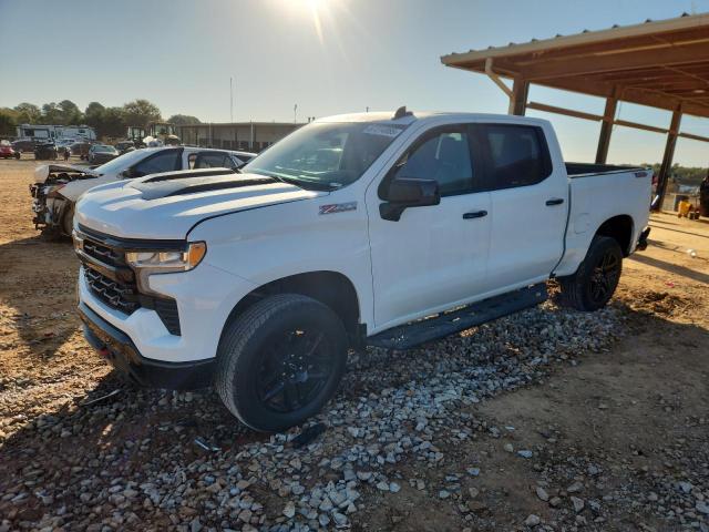 CHEVROLET SILVERADO 2023 with VIN 3GCUDFEL9PG140629 - Photo from auction