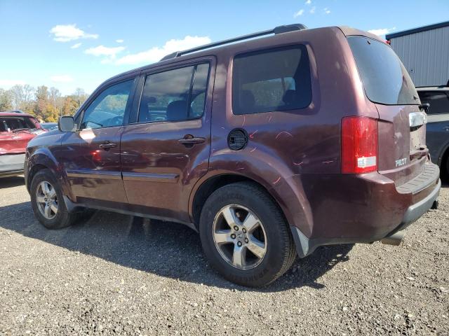 Photo 2 from auction – 2009 HONDA PILOT EXL with VIN 5FNYF48599B018441