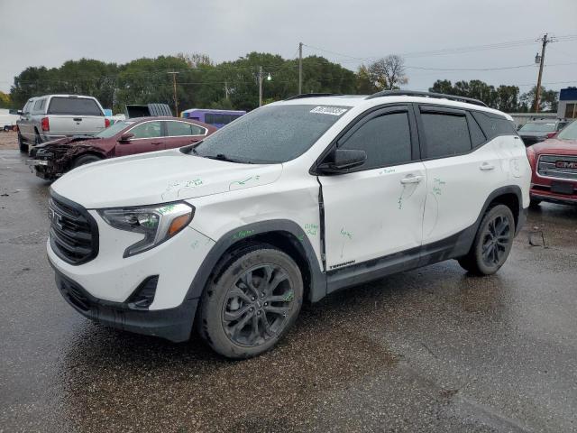 GMC TERRAIN SL 2019 with VIN 3GKALVEV0KL142825 - Photo from auction
