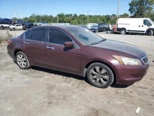 Photo 4 from auction – 2010 HONDA ACCORD EXL with VIN 5KBCP3F88AB015129