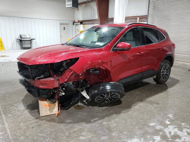 FORD ESCAPE 2025 with VIN 1FMCU0E19SUA78061 - Photo from auction