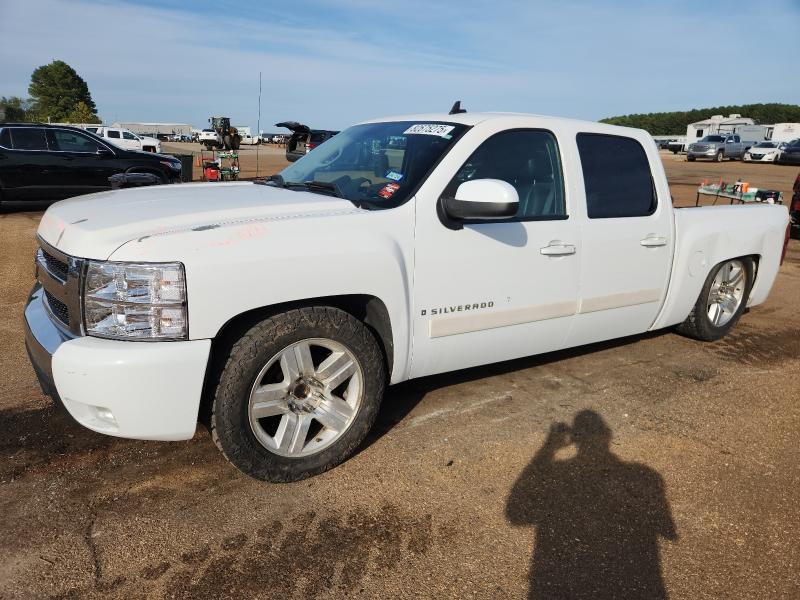 CHEVROLET SILVERADO 2008 with VIN 3GCEC13J68G206664 - Photo from auction