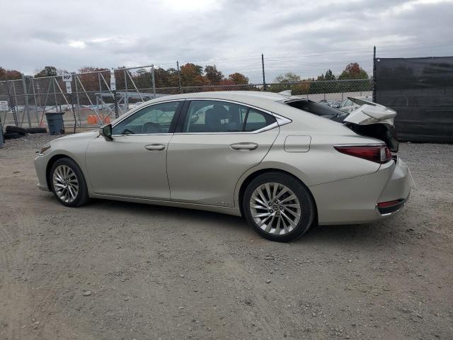 Zdjęcie 2 z aukcji – 2019 LEXUS ES 300H z VIN 58AB21B1XKU004331