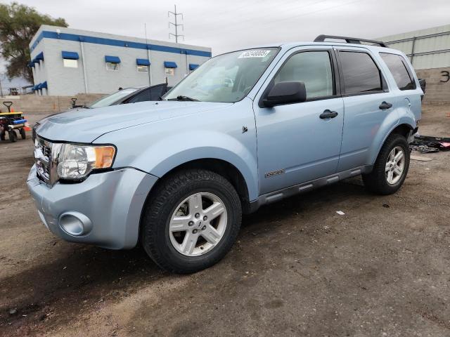 FORD ESCAPE HEV 2008 with VIN 1FMCU59H28KA03078 - Photo from auction
