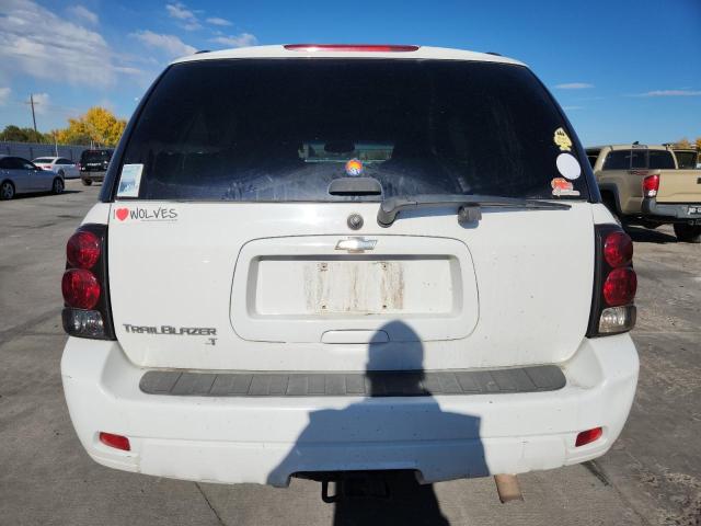 Photo 6 from auction – 2009 CHEVROLET TRAILBLAZE with VIN 1GNDT33S192131552