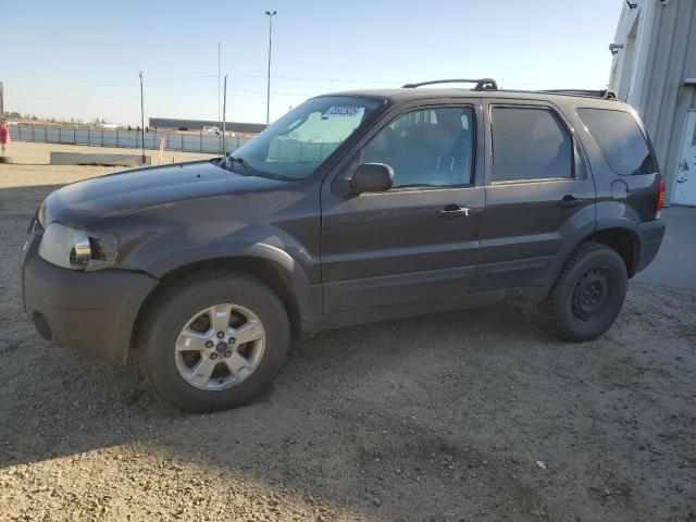 FORD ESCAPE XLT 2006 with VIN 1FMCU93166KC47848 - Photo from auction