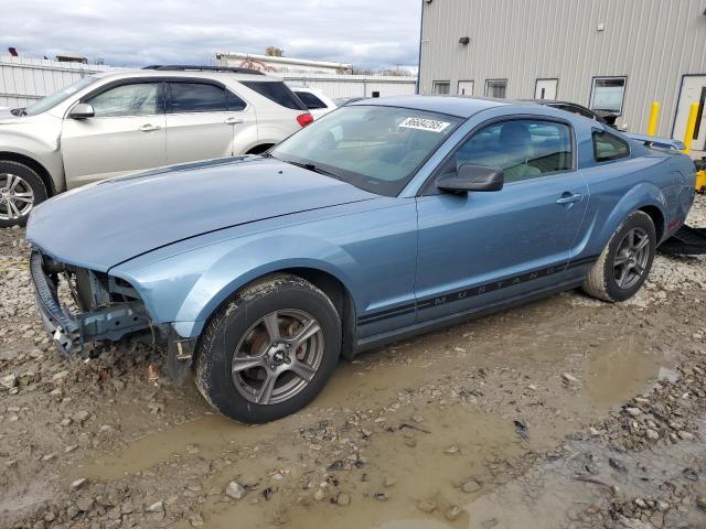 Photo 1 from auction – 2005 FORD MUSTANG with VIN 1ZVFT80N755259703