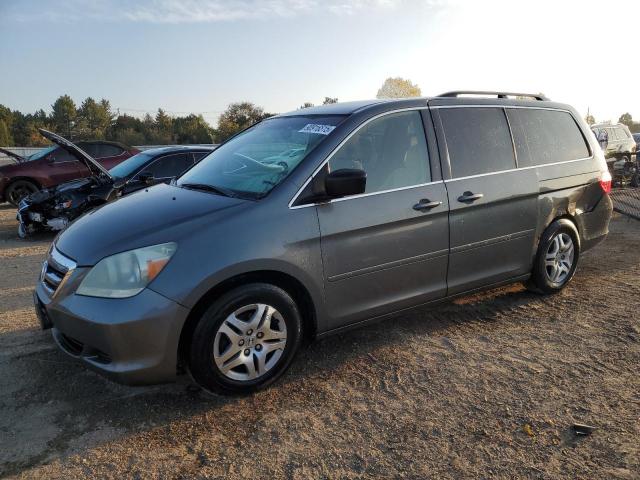HONDA ODYSSEY EX 2007 with VIN 5FNRL38487B049319 - Photo from auction