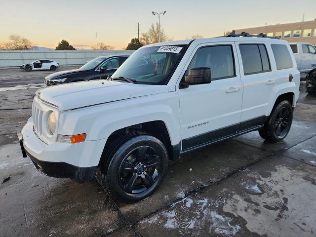 JEEP PATRIOT SP 2011 with VIN 1J4NF1GB4BD250137 - Photo from auction