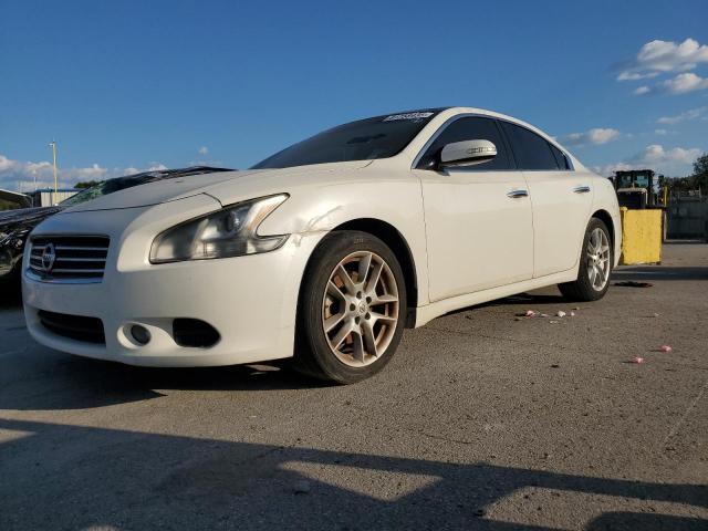 NISS MAXIMA 2010 with VIN 1N4AA5AP8AC843329 - Photo from auction