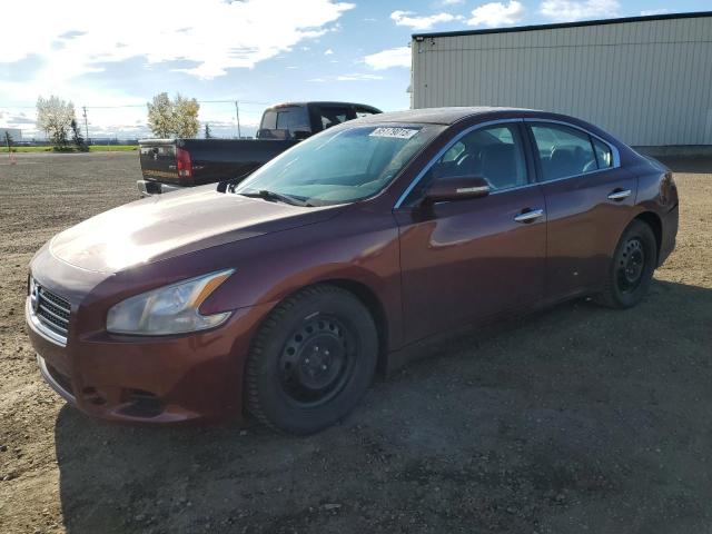 NISSAN MAXIMA S 2011 with VIN 1N4AA5AP2BC838662 - Photo from auction