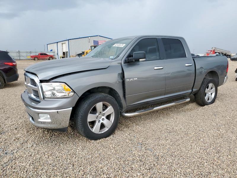 DODGE RAM 1500 2009 with VIN 1D3HV13T09S739927 - Photo from auction