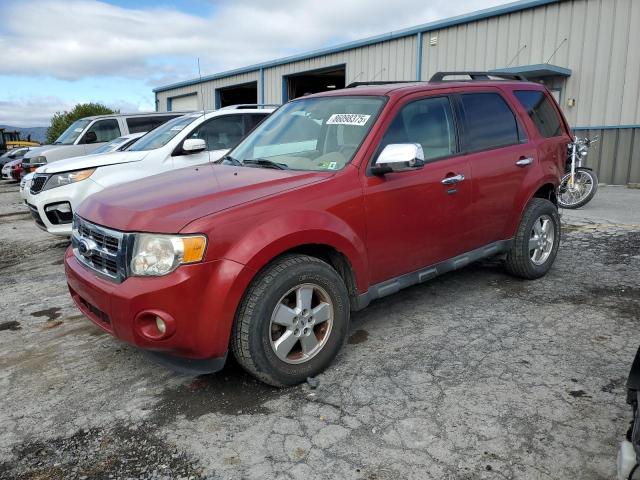 FORD ESCAPE XLT 2011 with VIN 1FMCU9DG0BKA15467 - Photo from auction