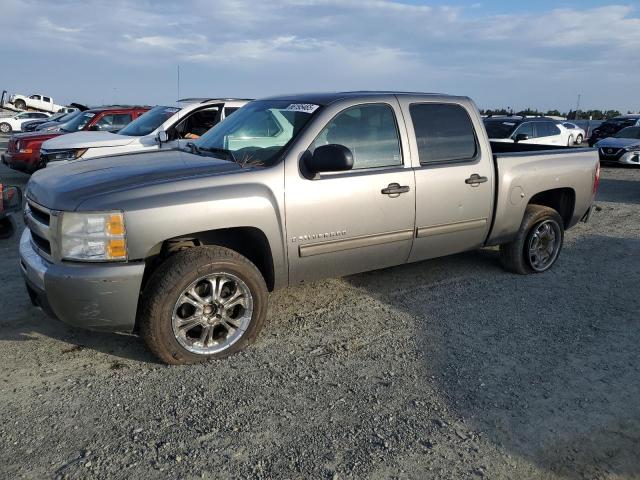 CHEVROLET SILVERADO 2009 with VIN 3GCEC23C29G168018 - Photo from auction