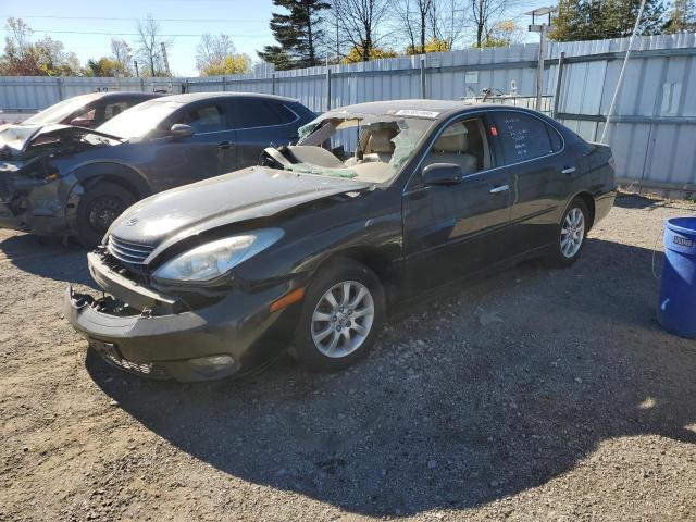 LEXUS ES 300 2002 with VIN JTHBF30G120084501 - Photo from auction