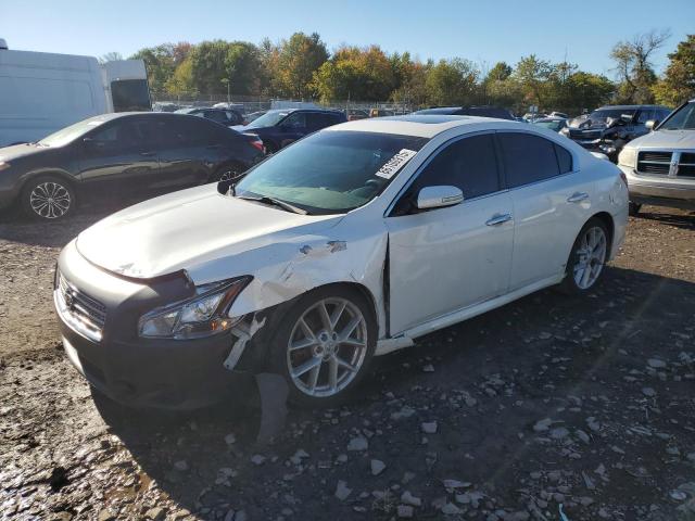 NISSAN MAXIMA S 2009 with VIN 1N4AA51E89C844703 - Photo from auction