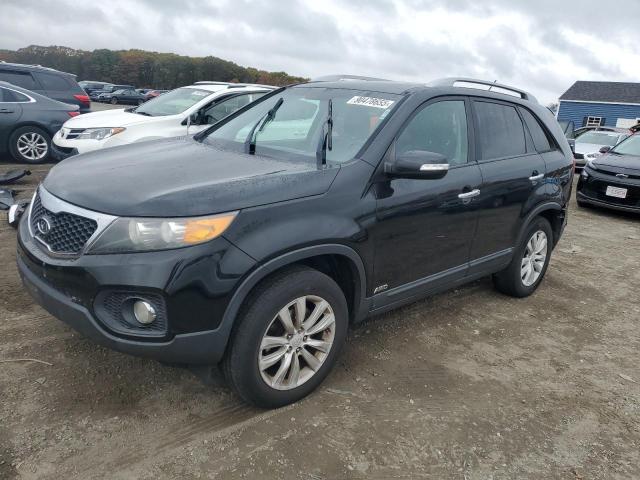 KIA SORENTO EX 2011 with VIN 5XYKUDA28BG008705 - Photo from auction