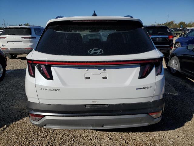 Photo 6 from auction – 2025 HYUNDAI TUCSON LIM with VIN KM8JEDD12SU262626