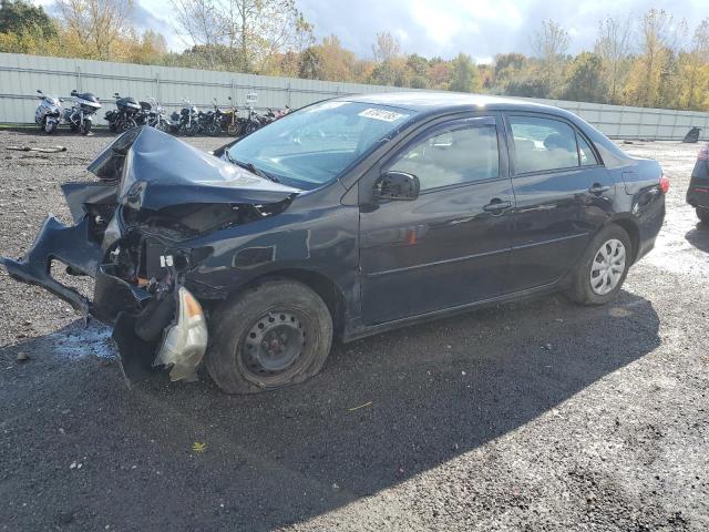 TOYOTA COROLLA BA 2010 with VIN 1NXBU4EEXAZ182952 - Photo from auction