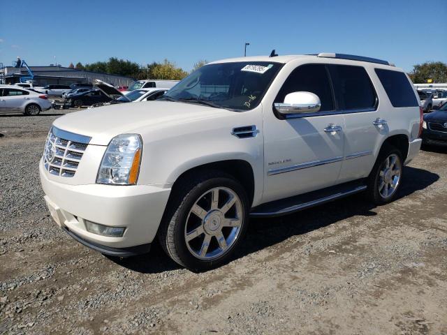 CADILLAC ESCALADE L 2011 with VIN 1GYS4BEF2BR137407 - Photo from auction