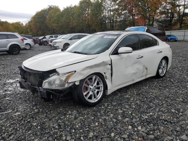 NISSAN MAXIMA S 2011 with VIN 1N4AA5AP8BC862660 - Photo from auction
