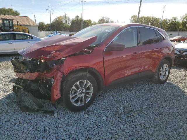 FORD ESCAPE SE 2022 with VIN 1FMCU9G63NUB15557 - Photo from auction