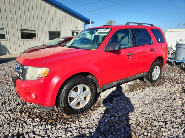 FORD ESCAPE XLT 2009 with VIN 1FMCU03G29KA66282 - Photo from auction