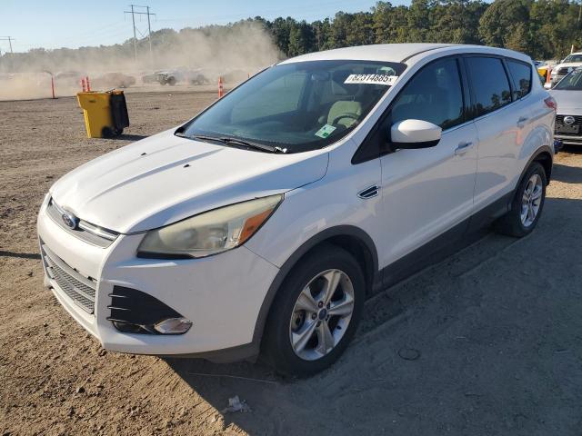 FORD ESCAPE SE 2014 with VIN 1FMCU0G95EUB02248 - Photo from auction