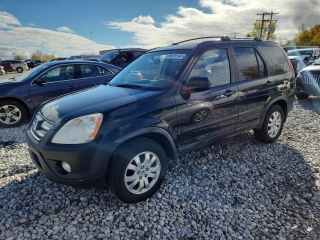 HONDA CR-V EX 2005 with VIN JHLRD78845C003250 - Photo from auction