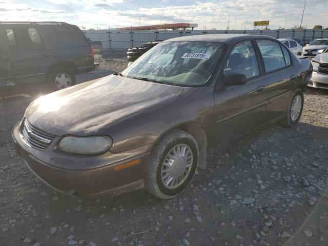 CHEVROLET MALIBU 2001 with VIN 1G1ND52J016162831 - Photo from auction