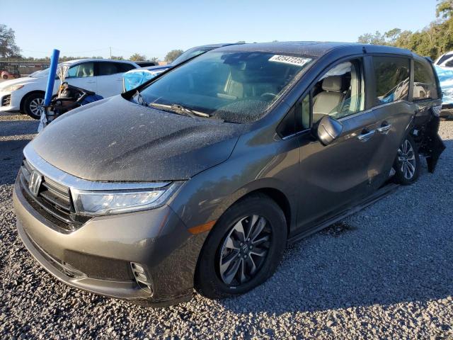HONDA ODYSSEY EX 2021 with VIN 5FNRL6H78MB030955 - Photo from auction