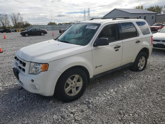 FORD ESCAPE HYB 2012 with VIN 1FMCU5K34CKB20491 - Photo from auction