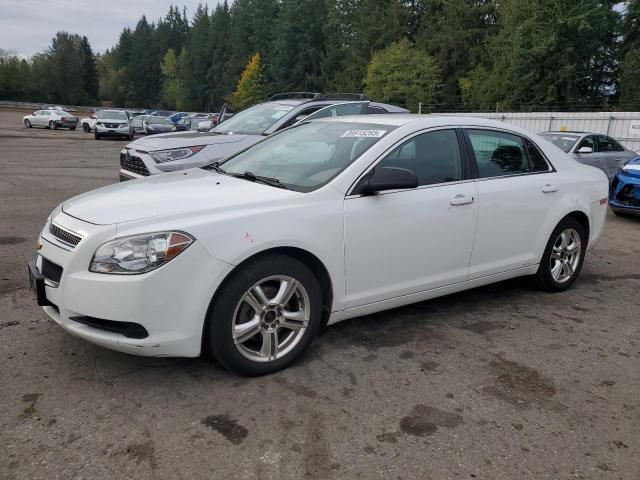 CHEVROLET MALIBU LS 2012 with VIN 1G1ZA5E00CF291765 - Photo from auction