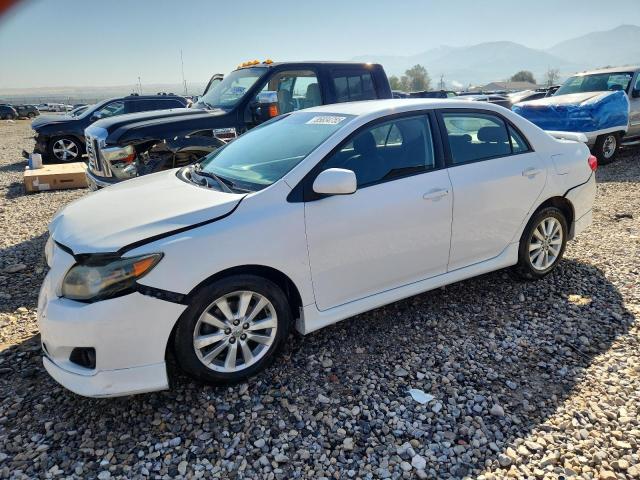 TOYOTA COROLLA BA 2010 with VIN 1NXBU4EE7AZ235784 - Photo from auction