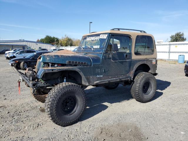 JEEP WRANGLER / 1995 with VIN 1J4FY29S5SP240572 - Photo from auction