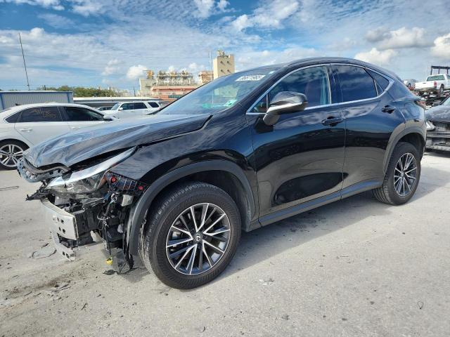 LEXUS NX 250 BAS 2024 with VIN 2T2ADCAZ4RC013355 - Photo from auction