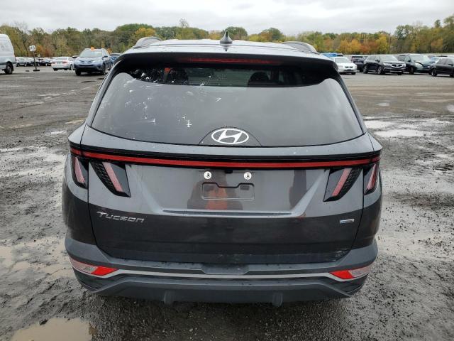 Photo 6 from auction – 2023 HYUNDAI TUCSON SEL with VIN 5NMJBCAE0PH290230