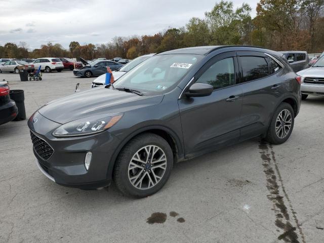 FORD ESCAPE SEL 2020 with VIN 1FMCU9H95LUA96967 - Photo from auction