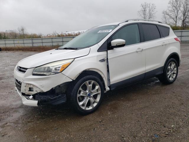 FORD ESCAPE TIT 2014 with VIN 1FMCU0JX1EUD76005 - Photo from auction