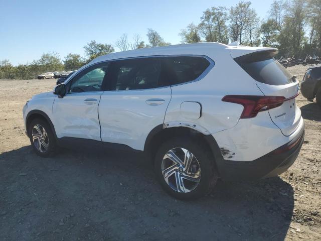 Photo 2 from auction – 2023 HYUNDAI SANTA FE S with VIN 5NMS2DAJ9PH609342