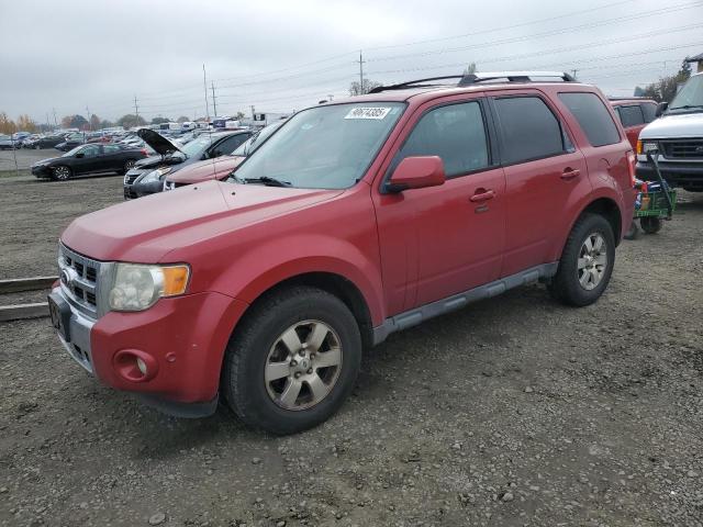 FORD ESCAPE LIM 2010 with VIN 1FMCU9EG1AKD33370 - Photo from auction