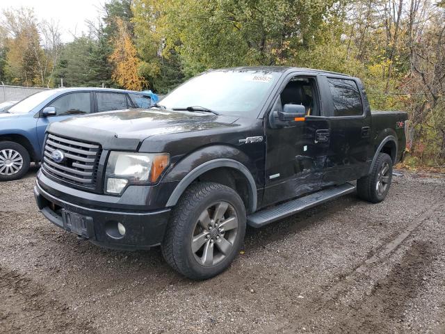 FORD F150 SUPER 2011 with VIN 1FTFW1ET4BFB06775 - Photo from auction
