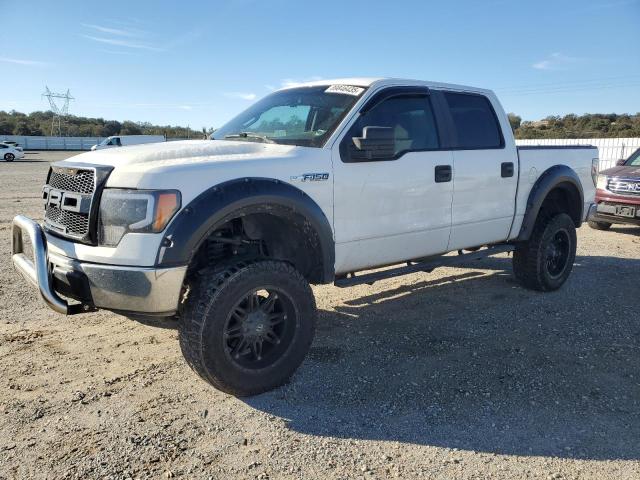 FORD F150 SUPER 2010 with VIN 1FTEW1C80AFA27922 - Photo from auction
